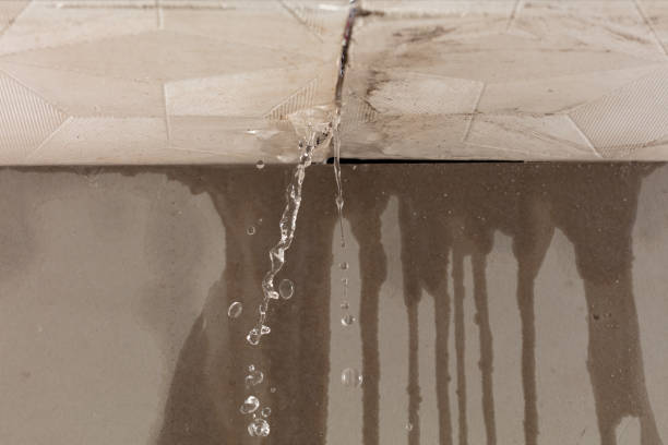 Professional Water Damage Repair technician working in Gillett, TX